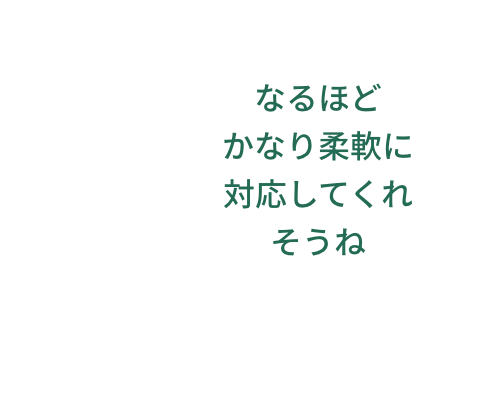 なるほど かなり柔軟に対応してくれそうね