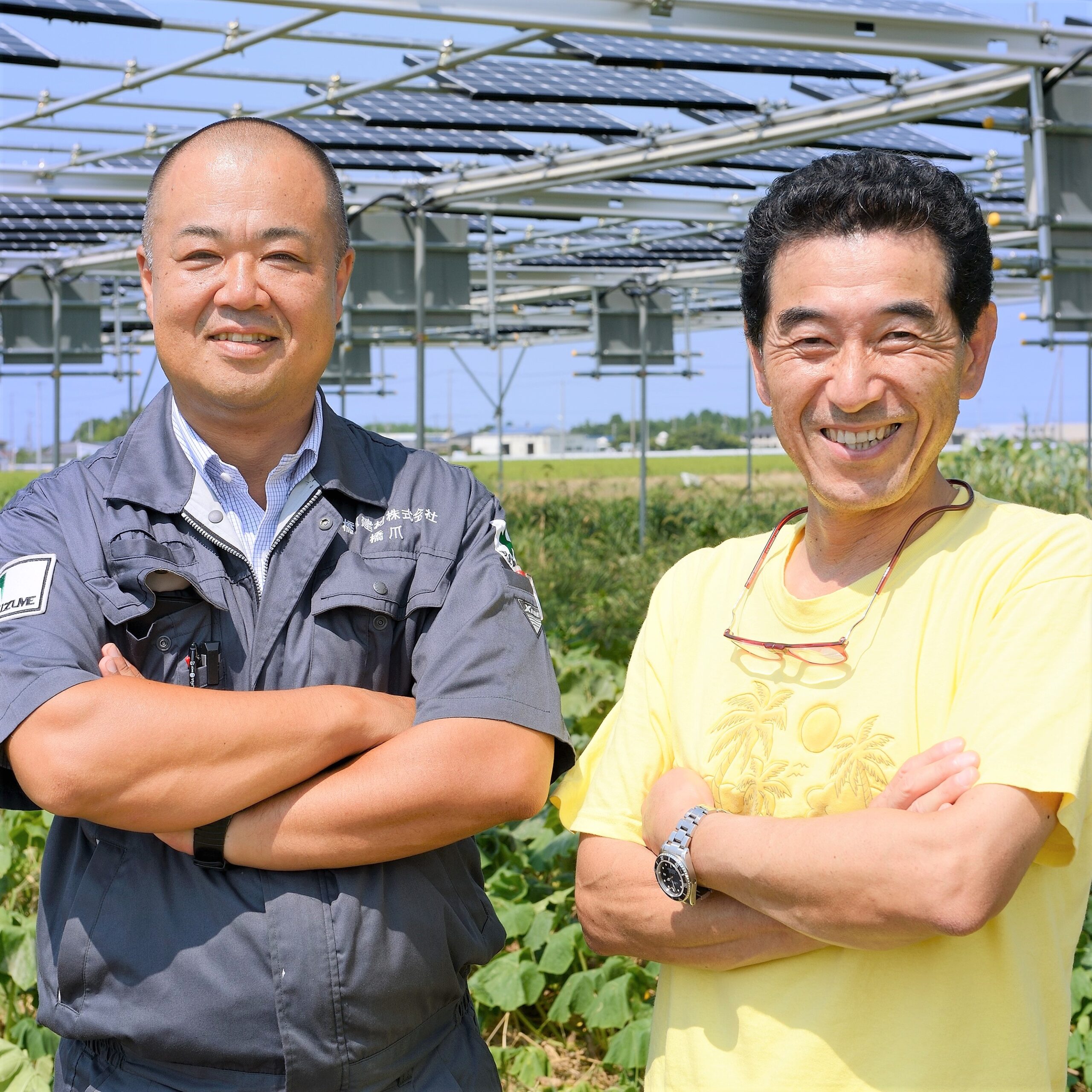 photo: 斎宮おひさま年金発電所(第4発電畑)×橋爪建材