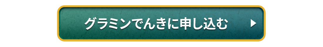 グラミンでんきに申し込む