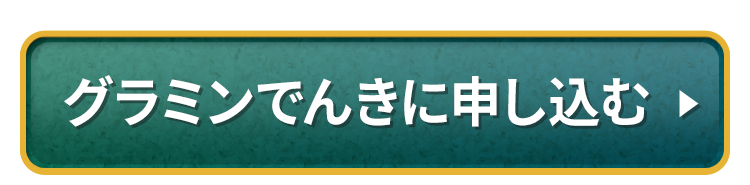 グラミンでんきに申し込む