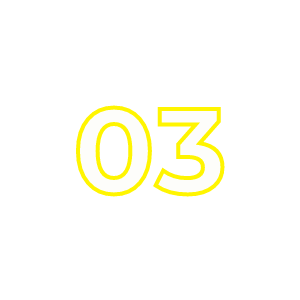 03