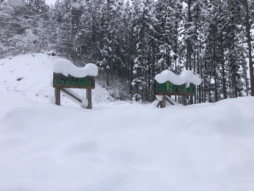 image: エポスプランで応援できる「みらいの森」は、素敵な雪景色です