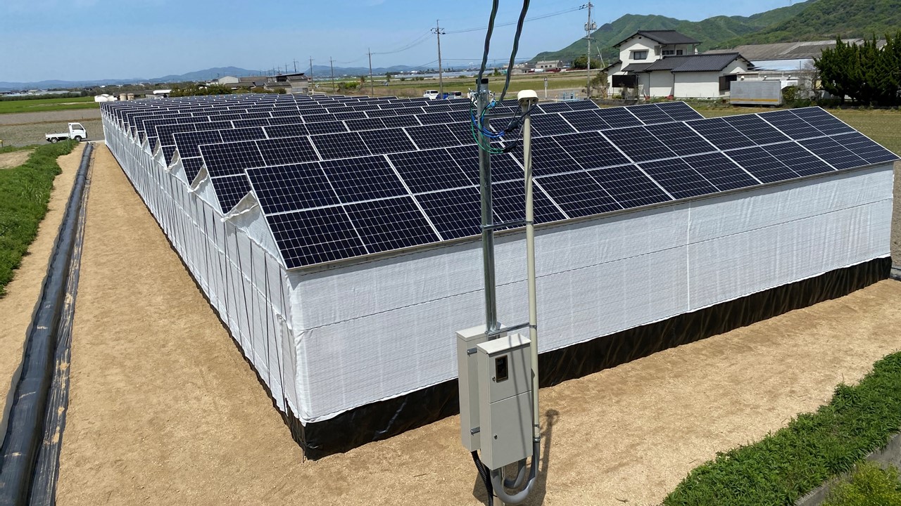 みんな電力、再エネ発電事業に参入！ 岡山で自社ソーラーシェアリング発電所を稼働 / NEWS / みんな電力 世界の電力に、選べる自由と楽しさを。