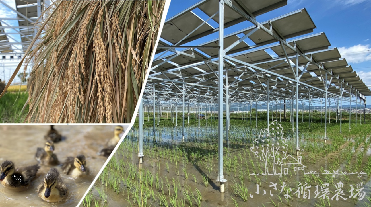 2025年度エール応援先 小さな循環農場発電所(京都府)の様子