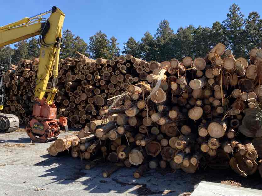 木質バイオマス発電の燃料となる未利用材
